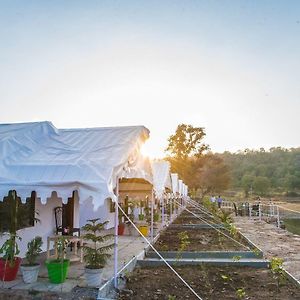 Padmavati Lake Resort
